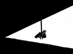 Mastering the Leap: Insider Advice for Breaking into the CG Animation Industry