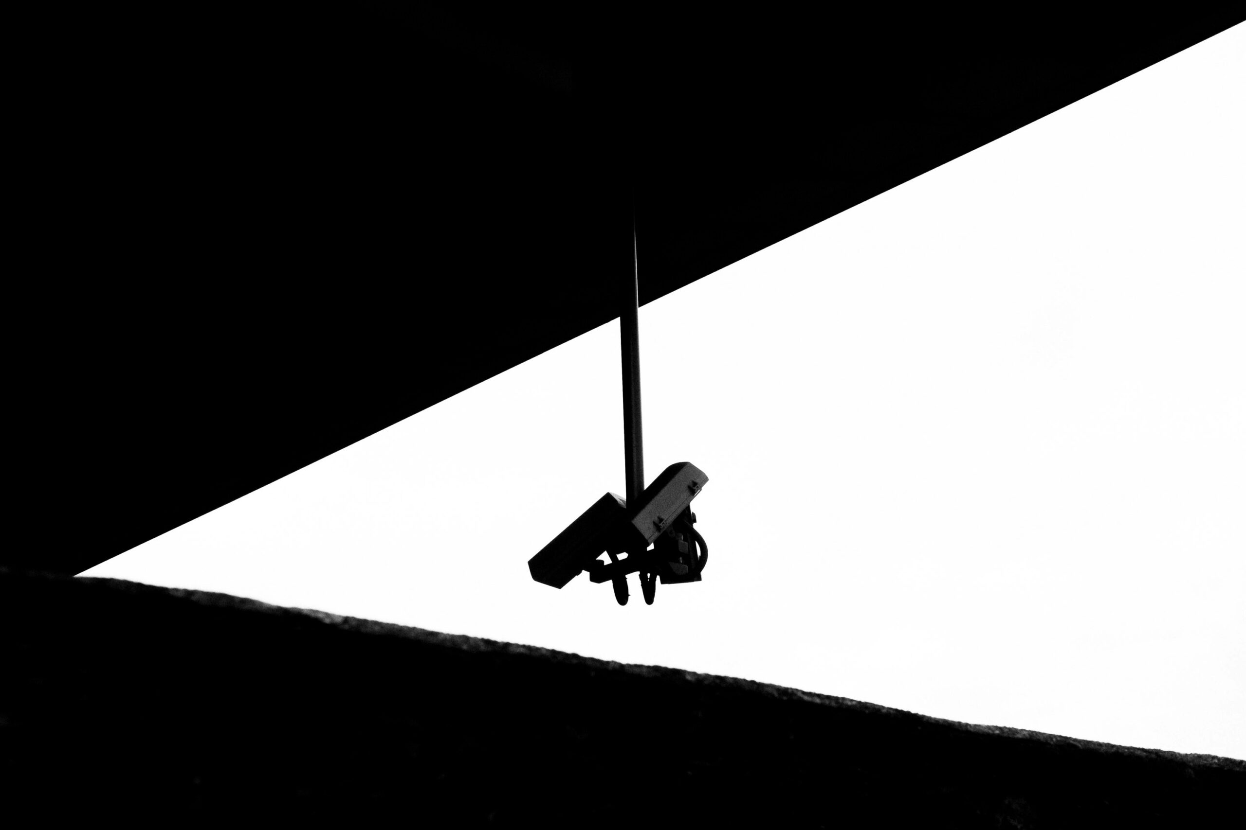 Mastering the Leap: Insider Advice for Breaking into the CG Animation Industry